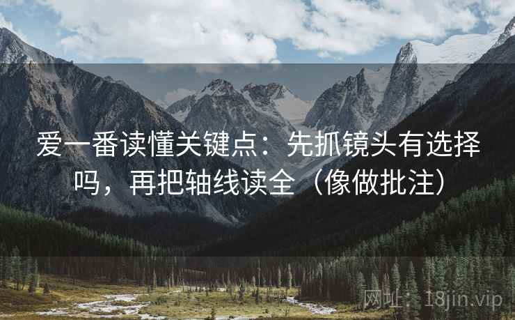 爱一番读懂关键点：先抓镜头有选择吗，再把轴线读全（像做批注）